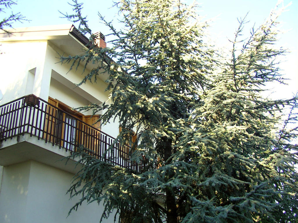 Villa Caterina B&B Pedara Exteriér fotografie