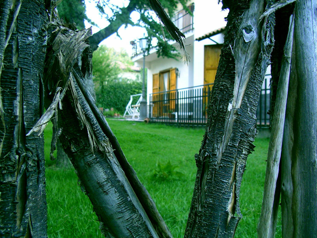 Villa Caterina B&B Pedara Exteriér fotografie
