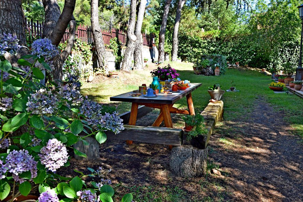 Villa Caterina B&B Pedara Exteriér fotografie